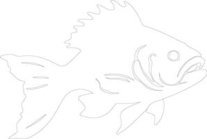 coelacanth outline silhouette vector