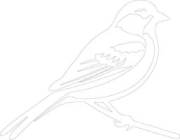 American tree sparrow  outline silhouette vector