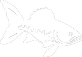 coelacanth outline silhouette vector