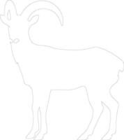 dallsheep outline silhouette vector