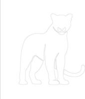 cougar outline silhouette vector