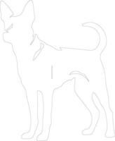 perro de caza del cabo contorno silueta vector