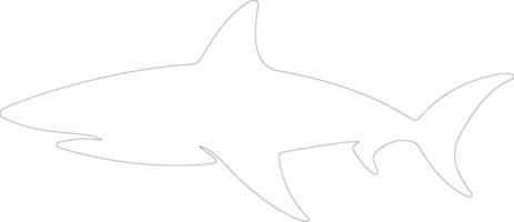 Galapagos shark   outline silhouette vector