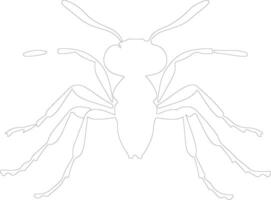 carpenterant outline silhouette vector