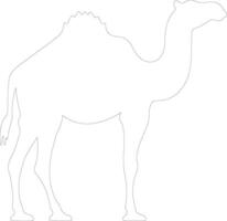 dromedary    outline silhouette vector