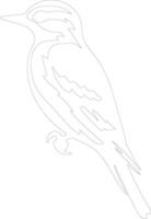 downy woodpecker    outline silhouette vector