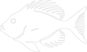 John Dory  outline silhouette vector