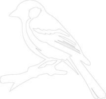 jay  outline silhouette vector