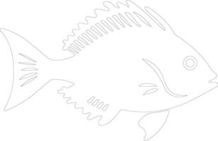 John Dory  outline silhouette vector