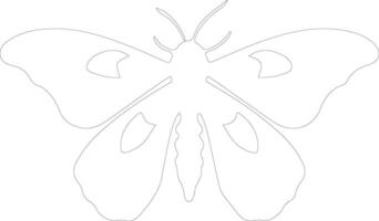 jumping bean moth  outline silhouette vector