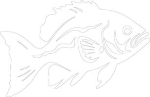 grouper  outline silhouette vector