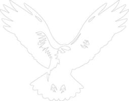 hawk  outline silhouette vector