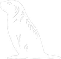 harp seal  outline silhouette vector