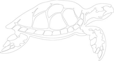 loggerhead turtle  outline silhouette vector