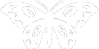 moth  outline silhouette vector