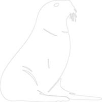 northern fur seal  outline silhouette vector