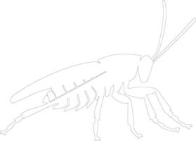 katydid  outline silhouette vector