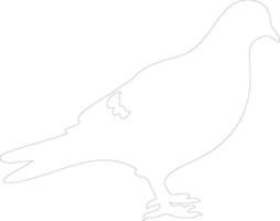 rock dove outline silhouette vector