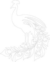 peafowl  outline silhouette vector