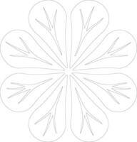 sand dollar    outline silhouette vector