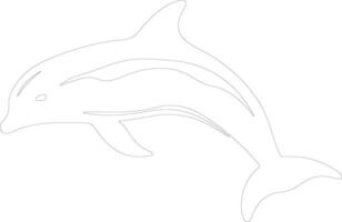 spectacled porpoise   outline silhouette vector