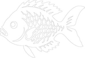 sunfish    outline silhouette vector