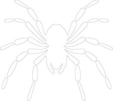 tarantula   outline silhouette vector