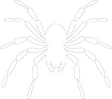 tarantula   outline silhouette vector