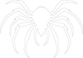 tarantula   outline silhouette vector