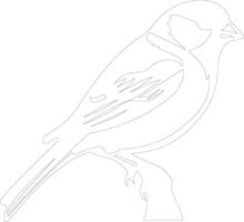 tree sparrow   outline silhouette vector