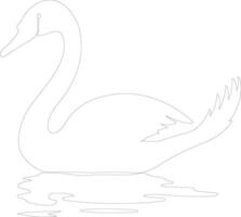 trumpeter swan   outline silhouette vector