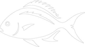 pompano    outline silhouette vector