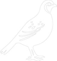 quail    outline silhouette vector