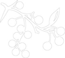 cranberry  outline silhouette vector