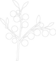 cranberry  outline silhouette vector