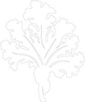 kale  outline silhouette vector