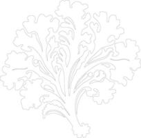 kale  outline silhouette vector