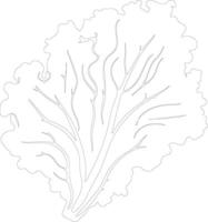 lettuce  outline silhouette vector