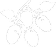 mulberry  outline silhouette vector