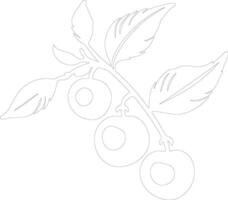 loquat  outline silhouette vector