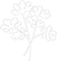 parsley  outline silhouette vector