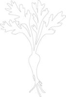 parsnip  outline silhouette vector