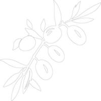 olive  outline silhouette vector