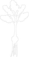 parsnip  outline silhouette vector