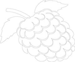 raspberry  outline silhouette vector