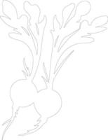 radish  outline silhouette vector