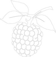 raspberry  outline silhouette vector