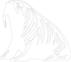 walrus  outline silhouette vector