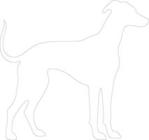 Whippet outline silhouette vector