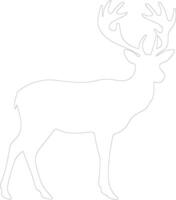 white-tailed deer  outline silhouette vector